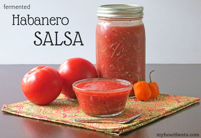 a spicy, fermented Habanero Salsa by myheartbeets.com