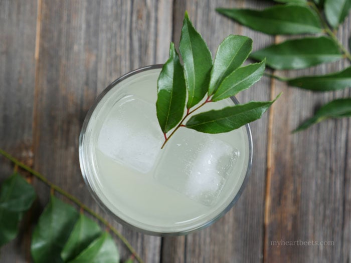 curry leaf cocktail by myheartbeets.com