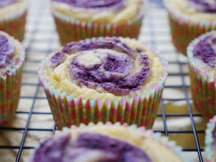 Lemon Berry Coconut Flour Muffins (a paleo and nut-free recipe) by Ashley of My Heart Beets