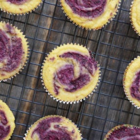 Lemon Berry Coconut Flour Muffins (a paleo and nut-free recipe) by Ashley of My Heart Beets