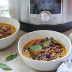 Why Cook Indian Food in an Instant Pot - ashley of myheartbeets.com