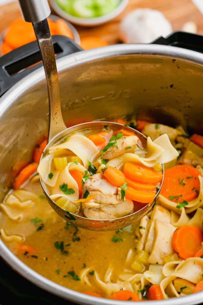 Instant Pot Chicken Noodle Soup | My Heart Beets